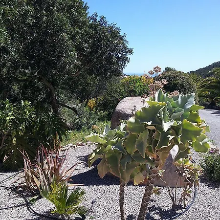 Es Picot Farm stay Son Macia (Mallorca)