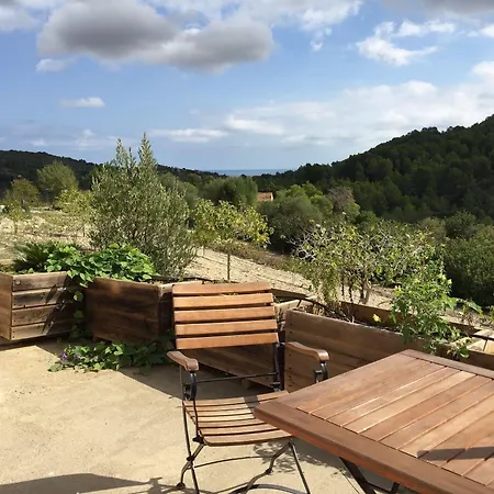 Farm stay Es Picot Son Macia (Mallorca)